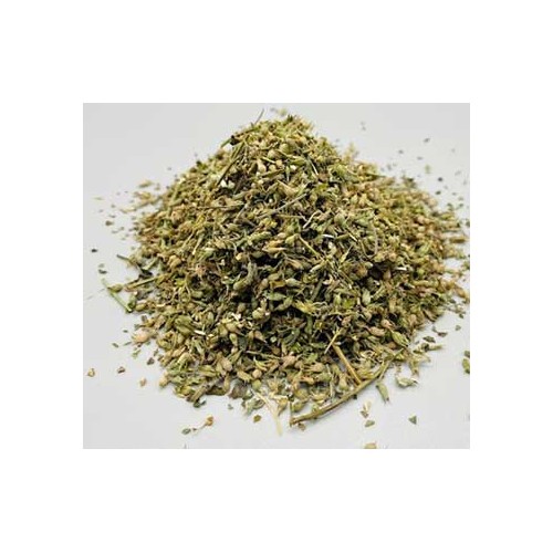 Catnip Cortado Nepeta Cataria 1 lb