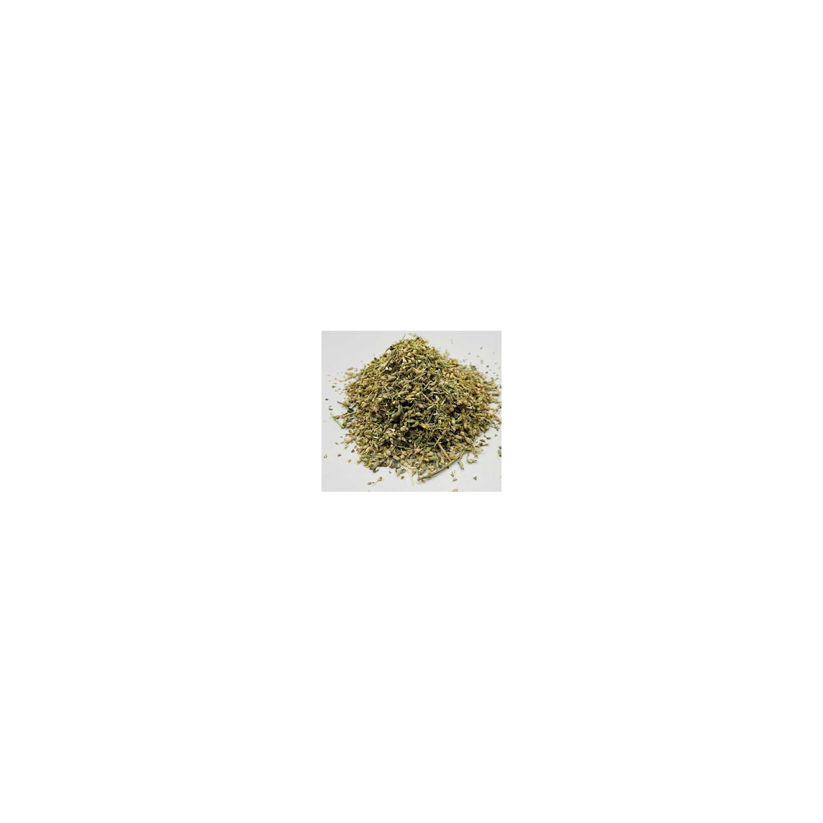 Catnip Cortado Nepeta Cataria 1 lb