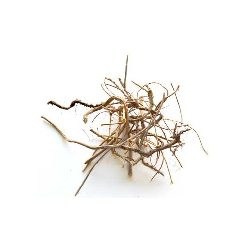 Devil's Shoestring Whole 1 Lb for Protection and Luck