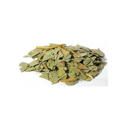 2oz Cut Eucalyptus for Healing and Purification