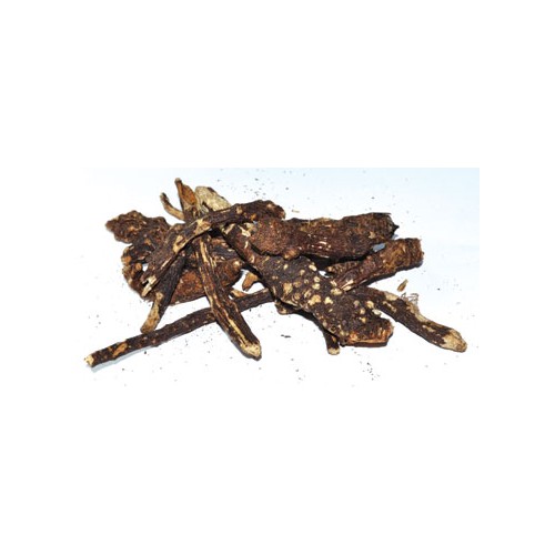 1 lb Whole Osha Root for Spiritual Protection