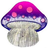 Colorful Mushroom Incense Burner 5 inch