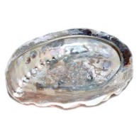 4 Inch Abalone Shell Incense Burner