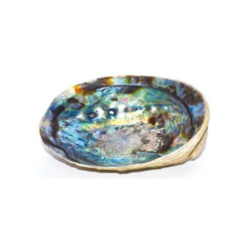 5" Abalone Shell Incense Burner