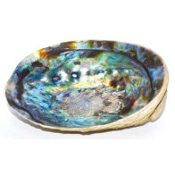 5" Abalone Shell Incense Burner