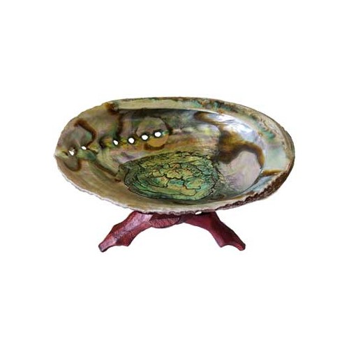 5-6" Abalone Shell Incense Burner with Stand