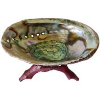 5-6" Abalone Shell Incense Burner with Stand