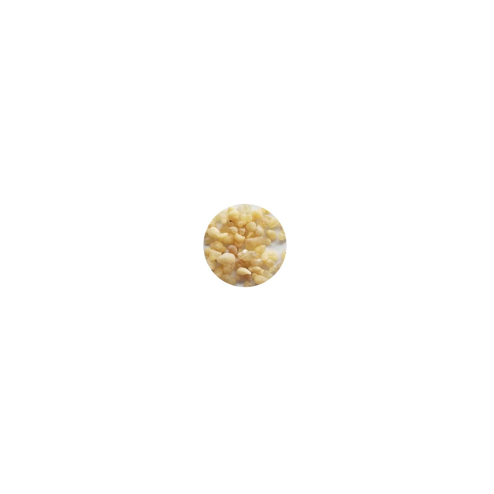 1.5 oz Sifted Frankincense Incense for Rituals