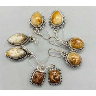 Fossil Coral Earrings Unique Natural Stone