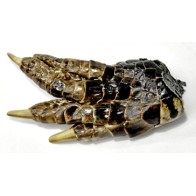 Small Alligator Foot - Good Luck Charm