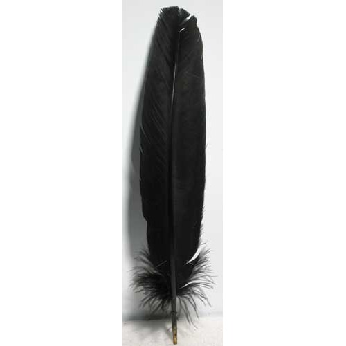 Set de 10 Plumas de Pavo Negras para Magia