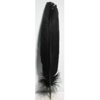 Set de 10 Plumas de Pavo Negras para Magia