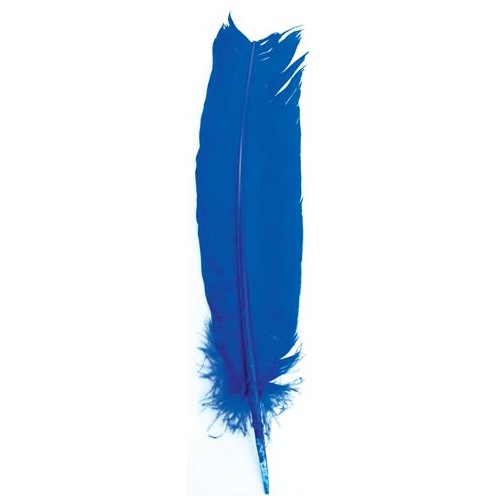 Set of 10 Blue Feathers 12 inch for Rituals