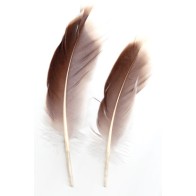 Natural Gray Goose Feather for Rituals