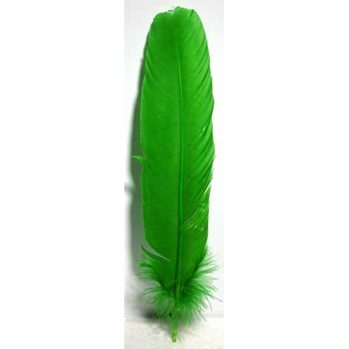 Juego de 10 Plumas Verdes de 12\"