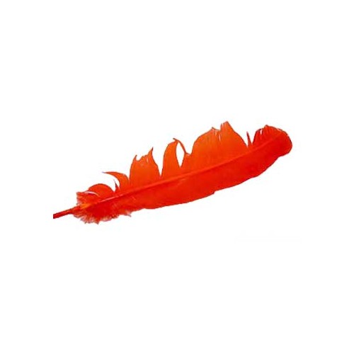 Pluma de Pavo Naranja Vibrante para Limpieza