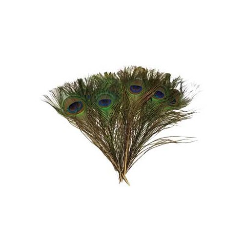 Set of 100 Peacock Feathers for Rituals