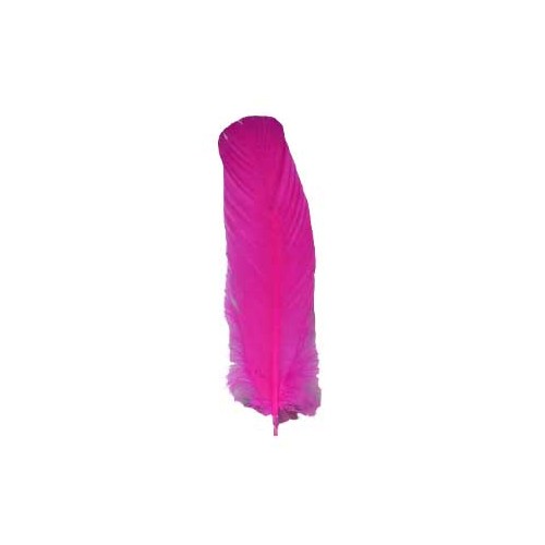 Set of 10 Pink Feathers 12 inch for Rituals