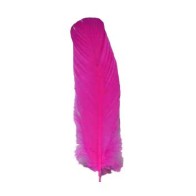 Set of 10 Pink Feathers 12 inch for Rituals