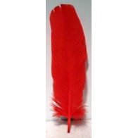 Set of 10 Red Feathers for Magic