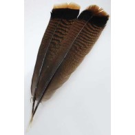 Bronze Turkey Tail Feather Ritual Tool