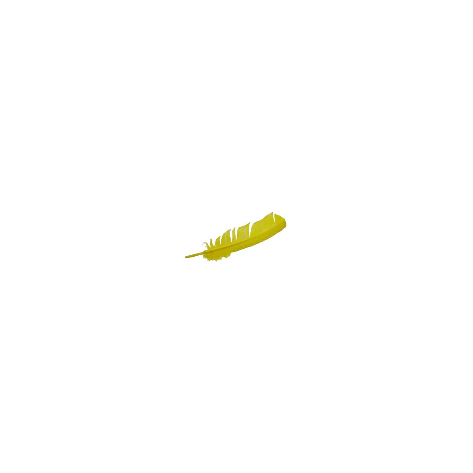 Set of 10 Yellow Turkey Feathers for Magic