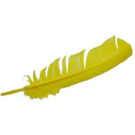 Set of 10 Yellow Turkey Feathers for Magic