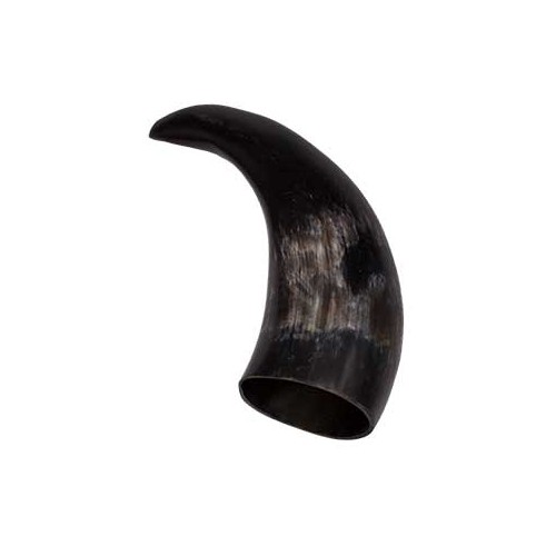 Polished Cattle Horn for Protection