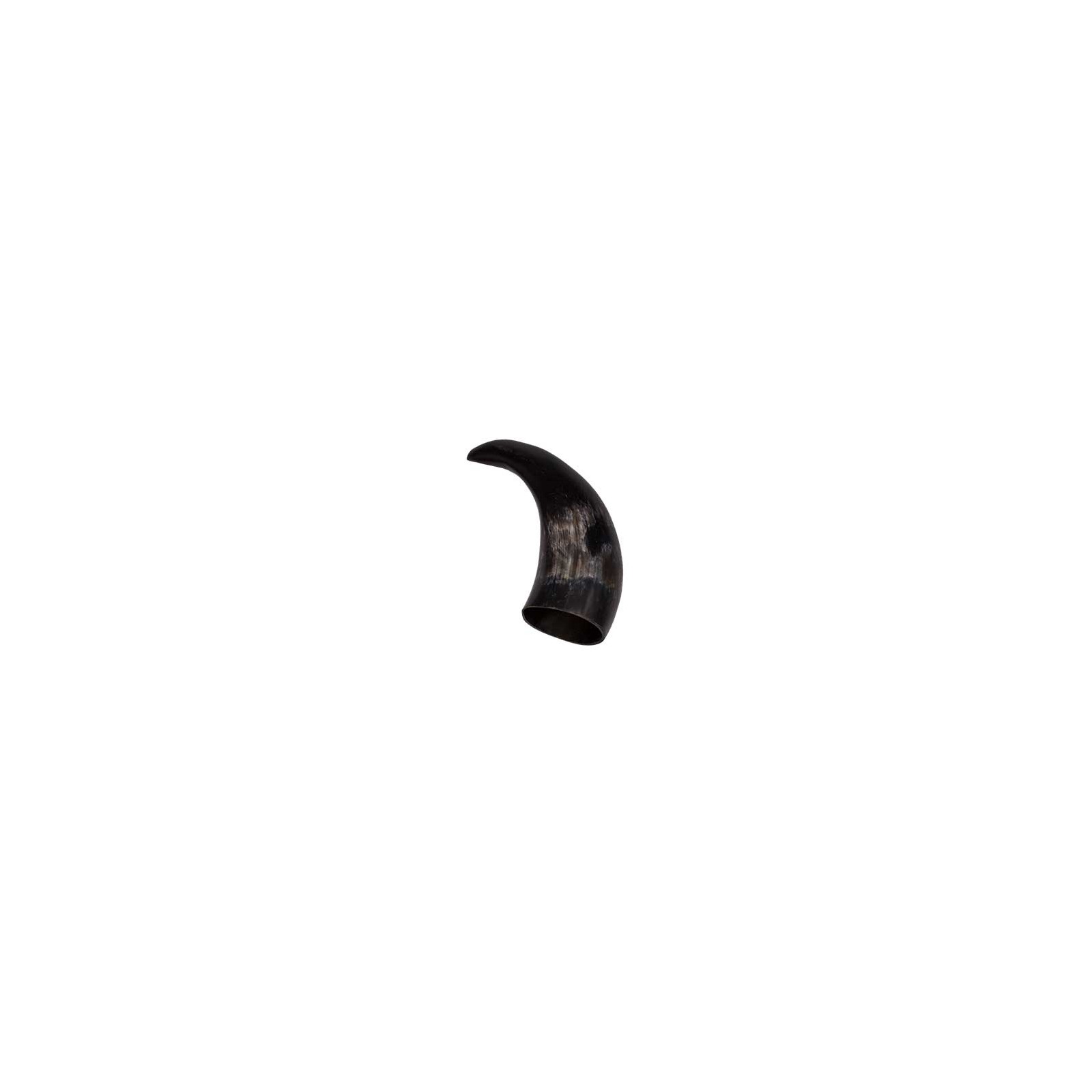 Polished Cattle Horn for Protection