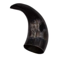 Polished Cattle Horn for Protection