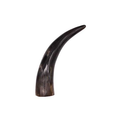 9 Inch Polished Cattle Horn Decorative Piece