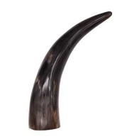 9 Inch Polished Cattle Horn Decorative Piece