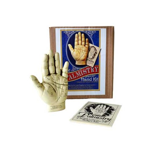 5" Palmistry Hand Learning Tool