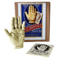 5" Palmistry Hand Learning Tool