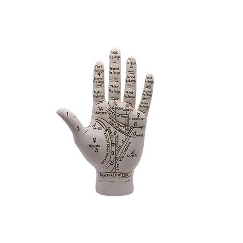 9.5" Palmistry Hand for Divination