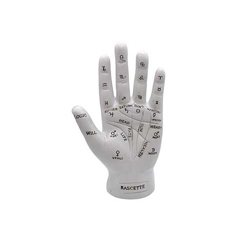 7" Palmistry Hand for Future Insights