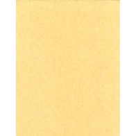 Light Parchment Paper for Magical Writing