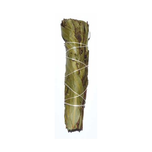 4" Eucalyptus Citridora Smudge Stick