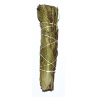 4" Eucalyptus Citridora Smudge Stick