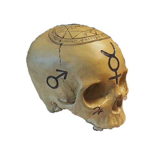 Mystic Skull Statue for Decor and Wisdom