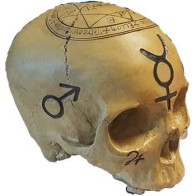 Mystic Skull Statue for Decor and Wisdom