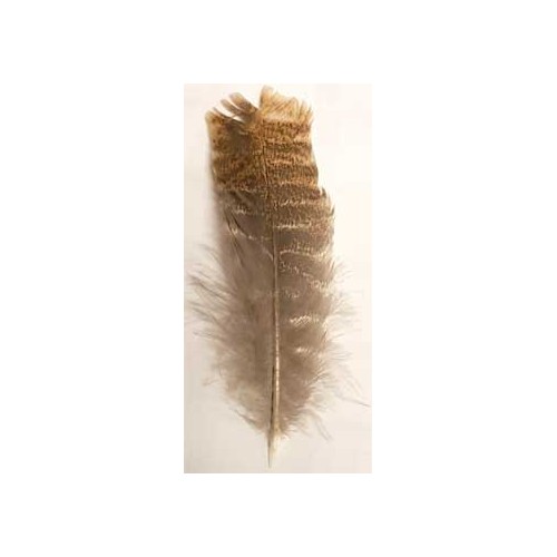 Barred Wing Smudging Feather