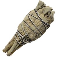 California White Sage Smudge Stick for Cleansing