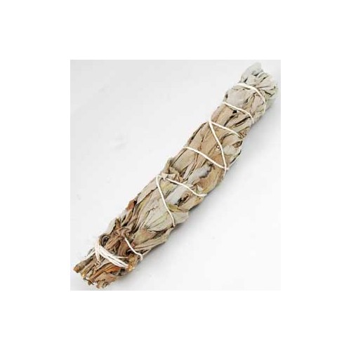 5-6" White Sage Smudge Stick for Cleansing