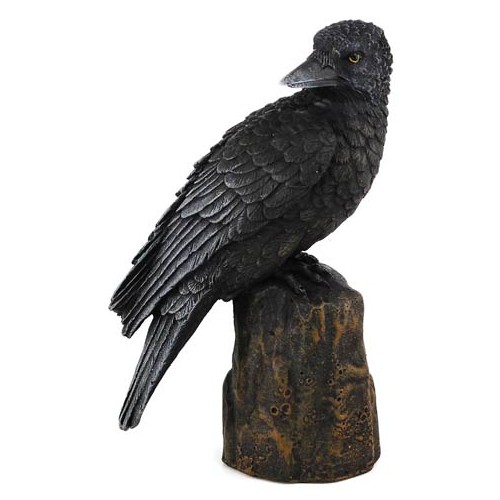 Backward Looking Raven Statue