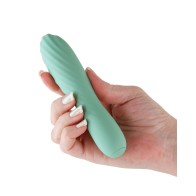 Desire Destiny Mint Vibrator