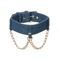 Collar Premium Denim Ride 'Em con Correa - Aventura con Estilo