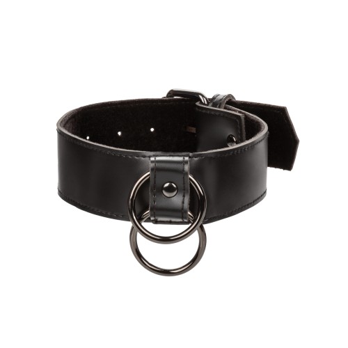 Euphoria Collection Collar with Chain Leash for BDSM Fun