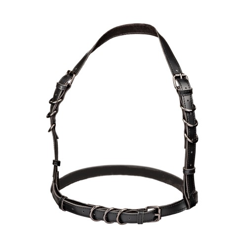 Euphoria Collection Halter Buckle Harness - Stylish Accessory