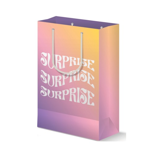 Surprise Gift Bag - Perfect for Any Occasion